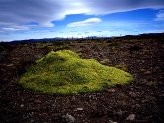 Gob. Costa - Rio Mayo (1)